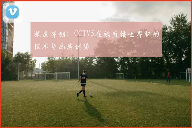 深度评测：CCTV5在线直播世界杯的技术与画质优势