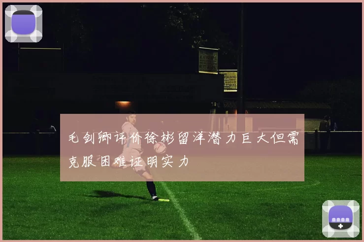 毛剑卿评价徐彬留洋潜力巨大但需克服困难证明实力