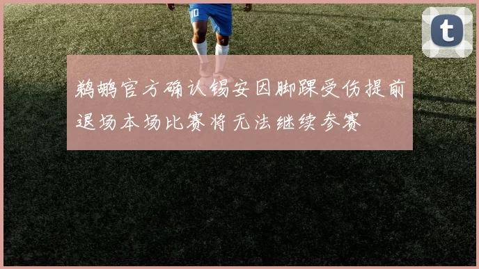 鹈鹕官方确认锡安因脚踝受伤提前退场本场比赛将无法继续参赛