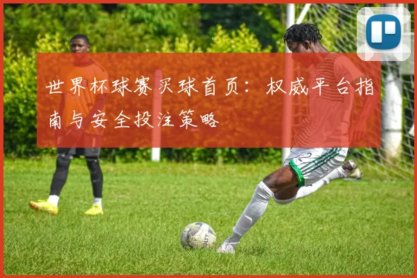 世界杯球赛买球首页:权威平台指南与安全投注策略