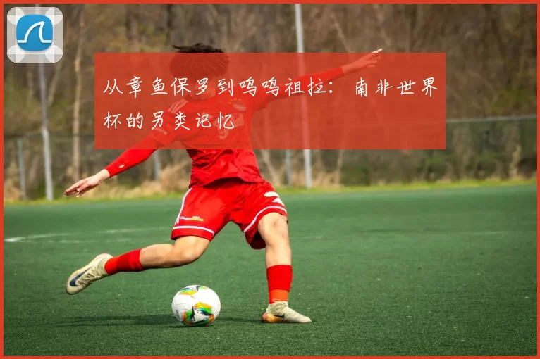 从章鱼保罗到呜呜祖拉:南非世界杯的另类记忆