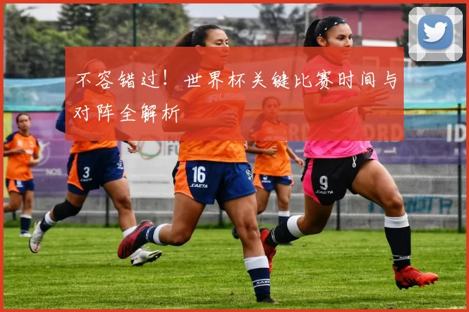 不容错过！世界杯关键比赛时间与对阵全解析