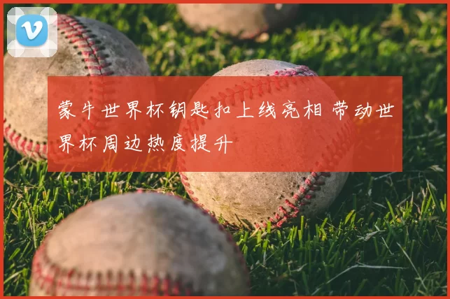 蒙牛世界杯钥匙扣上线亮相 带动世界杯周边热度提升