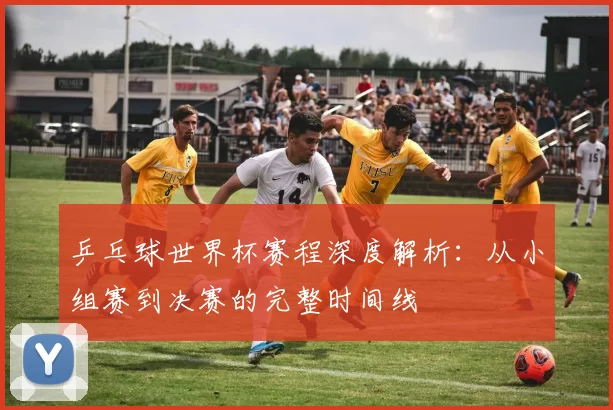 乒乓球世界杯赛程深度解析：从小组赛到决赛的完整时间线