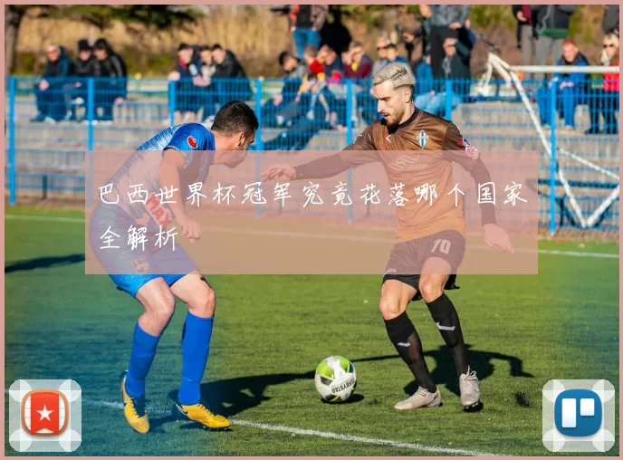 巴西世界杯冠军究竟花落哪个国家全解析