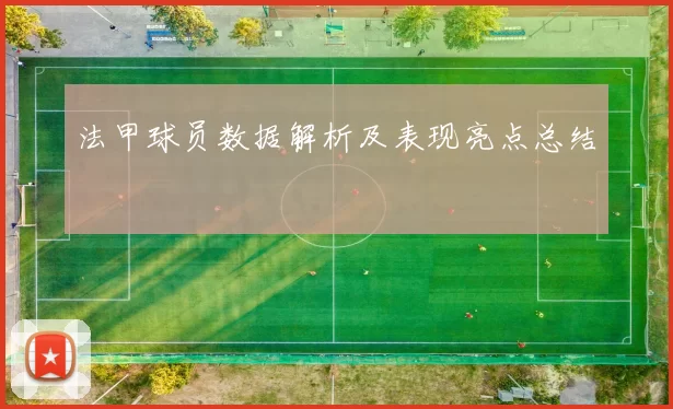 法甲球员数据解析及表现亮点总结
